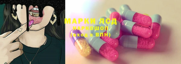 ГАЛЛЮЦИНОГЕННЫЕ ГРИБЫ Алзамай